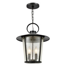 Crystorama AND-9204-SD-MK - Andover Outdoor 4 Light Matte Black Chandelier