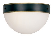 Crystorama CAP-8503-MK-TG - Brian Patrick Flynn for Crystorama Capsule Outdoor 2 Light Matte Black & Textured Gold Ceiling Mount