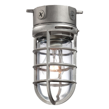 Cage Flush Mounts