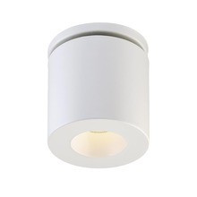 Bowl Flush Mounts
