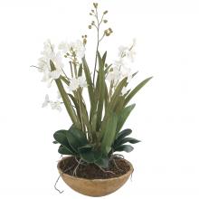 Uttermost 60039 - Uttermost Moth Orchid Planter