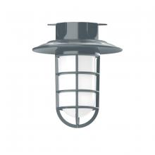 Montclair Light Works FMC052-40-G07 - 8 1/4" Vaportite flush mount ceiling light with frosted glass and cast guard, Slate Gray