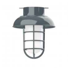 Montclair Light Works FMC060-40-G07 - 8" Vaportite flush mount ceiling light with frosted glass and cast guard, Slate Gray