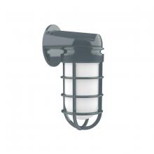 Montclair Light Works SCW050-40-G07 - Vaportite wall light with frosted glass and cast guard, Slate Gray