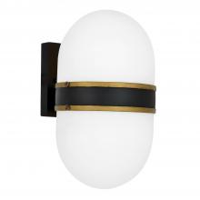 CAPSULE