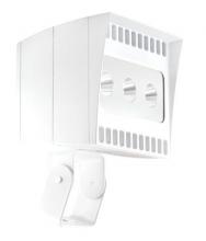 RAB Lighting EZLED78TW/5CPT - EZFLOOD 78W COOL 3HX3V TRUNNION