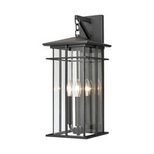 ELK Home Plus 89363/3 - SCONCE
