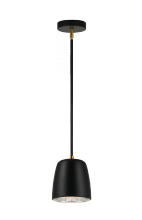 Matteo Lighting C73701BK - Luca Black Pendant