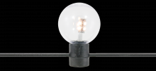LED FESTOON