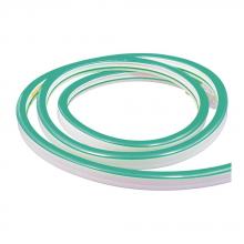 POLAR NEON FLEX